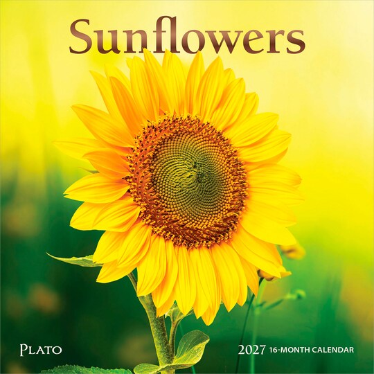 Plato; Sunflowers | 2027 7 x 14 Inch (Hanging) Monthly Mini Wall Calendar | Foil Stamped Cover; Category:Wall Calendars; Image:1